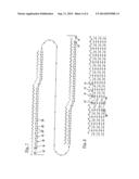 STATOR OR ROTOR WITH INTERLACED WIRE GROUPS FORMING AN INTERTWINED WAVE     WINDING diagram and image