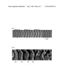 Automatic Spinal Canal Segmentation Using Cascaded Random Walks diagram and image