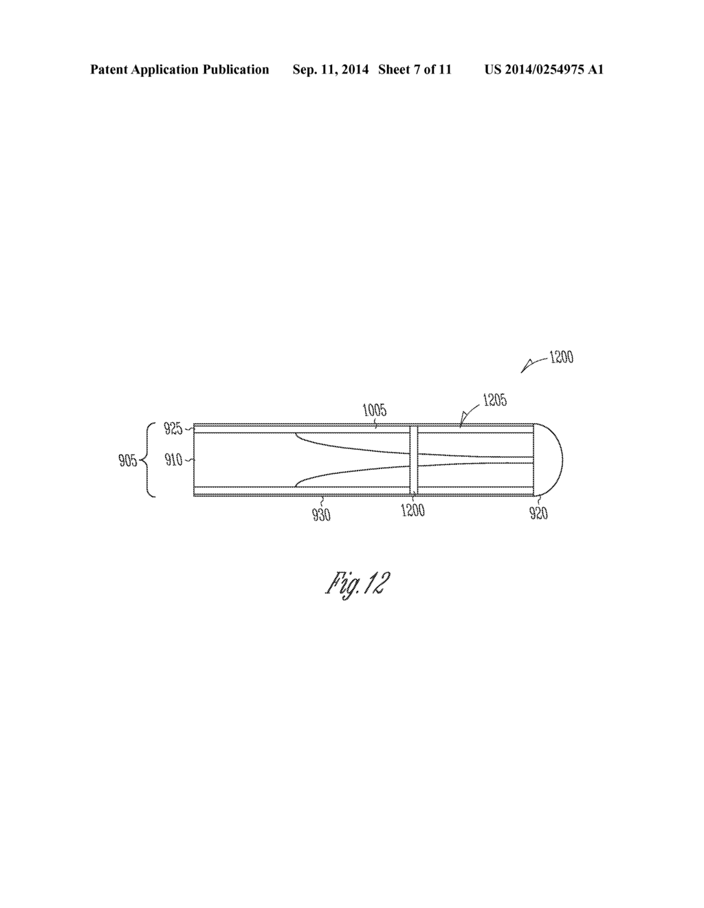 SYSTEMS AND METHODS FOR MINIMALLY-INVASIVE OPTICAL-ACOUSTIC IMAGING - diagram, schematic, and image 08