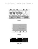 REMOVING SACRIFICIAL LAYER TO FORM LIQUID CONTAINMENT STRUCTURE AND     METHODS OF USE THEREOF diagram and image