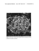 ULTRASONIC SYNTHESIS OF ZEOLITES FROM FLY ASH diagram and image