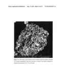 ULTRASONIC SYNTHESIS OF ZEOLITES FROM FLY ASH diagram and image