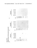 TDP-43 SPECIFIC BINDING MOLECULES diagram and image