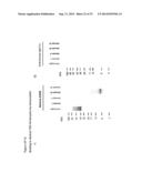 TDP-43 SPECIFIC BINDING MOLECULES diagram and image