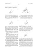 6-AMIDO DERIVATIVES OF 4, 5-a EPOXYMORPHINANS FOR THE TREATMENT OF PAIN diagram and image