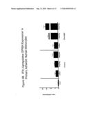 Human G Protein-Coupled Receptor and Modulators Thereof for the Treatment     of Atherosclerosis and Atherosclerotic Disease and for the Treatment of     Conditions Related to MCP-1 Expression diagram and image