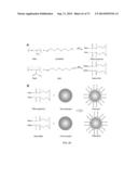 POLYPHOSPHATE-FUNCTIONALIZED INORGANIC NANOPARTICLES AS HEMOSTATIC     COMPOSITIONS AND METHODS OF USE diagram and image