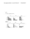 GENERATION OF IMMUNOSUPPRESSIVE MYELOID CELLS USING PGE2 diagram and image