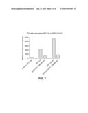 ESTROGEN-RECEPTOR BASED LIGAND SYSTEM FOR  REGULATING PROTEIN STABILITY diagram and image