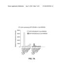 ESTROGEN-RECEPTOR BASED LIGAND SYSTEM FOR  REGULATING PROTEIN STABILITY diagram and image