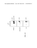 Specific binding proteins and uses thereof diagram and image