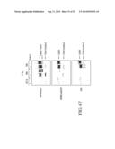 Specific binding proteins and uses thereof diagram and image