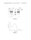 DIAGNOSTIC ANTIBODY ASSAY diagram and image