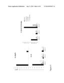 MODULATION OF MACROPHAGE ACTIVATION diagram and image