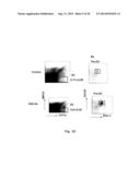 Methods of Treating Autoimmune Diseases with DLL4 Antagonists diagram and image