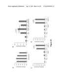 SILVESTROL, SILVESTROL ANALOGS AND USES THEREOF diagram and image