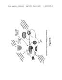 SILVESTROL, SILVESTROL ANALOGS AND USES THEREOF diagram and image