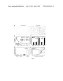 PDE5 INHIBITOR COMPOSITIONS AND METHODS FOR IMMUNOTHERAPY diagram and image