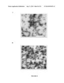 VIRUS-LIKE PARTICLES AND PROCESS FOR PREPARING SAME diagram and image