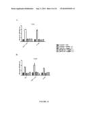 VIRUS-LIKE PARTICLES AND PROCESS FOR PREPARING SAME diagram and image