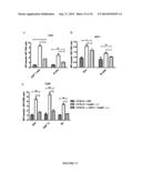 VIRUS-LIKE PARTICLES AND PROCESS FOR PREPARING SAME diagram and image