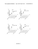 VIRUS-LIKE PARTICLES AND PROCESS FOR PREPARING SAME diagram and image