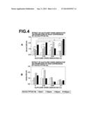 Expression Promoting Agent For Clock Gene And Hyaluronic Acid Synthase     Gene diagram and image