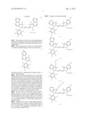 POLYMETHINE COMPOUNDS AND THEIR USE AS FLUORESCENT LABELS diagram and image
