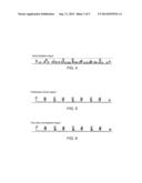 TWIST-TIE OLIGONUCLEOTIDE PROBES diagram and image