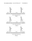 TWIST-TIE OLIGONUCLEOTIDE PROBES diagram and image