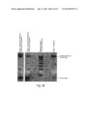 NUCLEIC ACID-BASED LINKERS FOR DETECTING AND MEASURING INTERACTIONS diagram and image