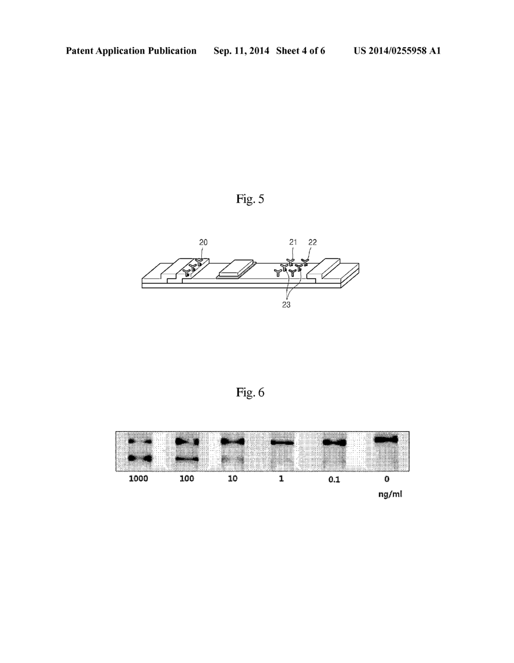 MEMBRANE SENSOR CAPABLE OF SEQUENTIALLY CHANGING REACTION CONDITION BY     SINGLE SAMPLE INJECTION - diagram, schematic, and image 05