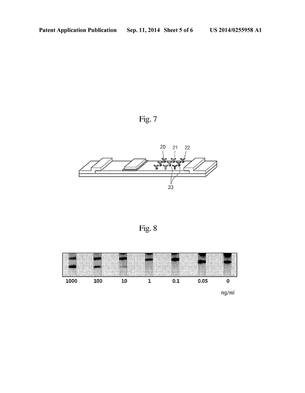 MEMBRANE SENSOR CAPABLE OF SEQUENTIALLY CHANGING REACTION CONDITION BY     SINGLE SAMPLE INJECTION - diagram, schematic, and image 06