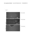 CAPTURE, PURIFICATION, AND RELEASE OF BIOLOGICAL SUBSTANCES USING A     SURFACE COATING diagram and image