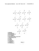 OVEREXPRESSION OF AMINOACYL-tRNA SYNTHETASES FOR EFFICIENT PRODUCTION OF     ENGINEERED PROTEINS CONTAINING AMINO ACID ANALOGUES diagram and image