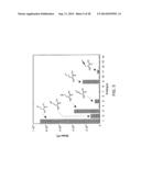 OVEREXPRESSION OF AMINOACYL-tRNA SYNTHETASES FOR EFFICIENT PRODUCTION OF     ENGINEERED PROTEINS CONTAINING AMINO ACID ANALOGUES diagram and image