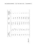 OVEREXPRESSION OF AMINOACYL-tRNA SYNTHETASES FOR EFFICIENT PRODUCTION OF     ENGINEERED PROTEINS CONTAINING AMINO ACID ANALOGUES diagram and image