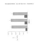 OVEREXPRESSION OF AMINOACYL-tRNA SYNTHETASES FOR EFFICIENT PRODUCTION OF     ENGINEERED PROTEINS CONTAINING AMINO ACID ANALOGUES diagram and image