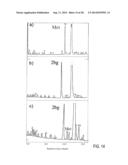 OVEREXPRESSION OF AMINOACYL-tRNA SYNTHETASES FOR EFFICIENT PRODUCTION OF     ENGINEERED PROTEINS CONTAINING AMINO ACID ANALOGUES diagram and image