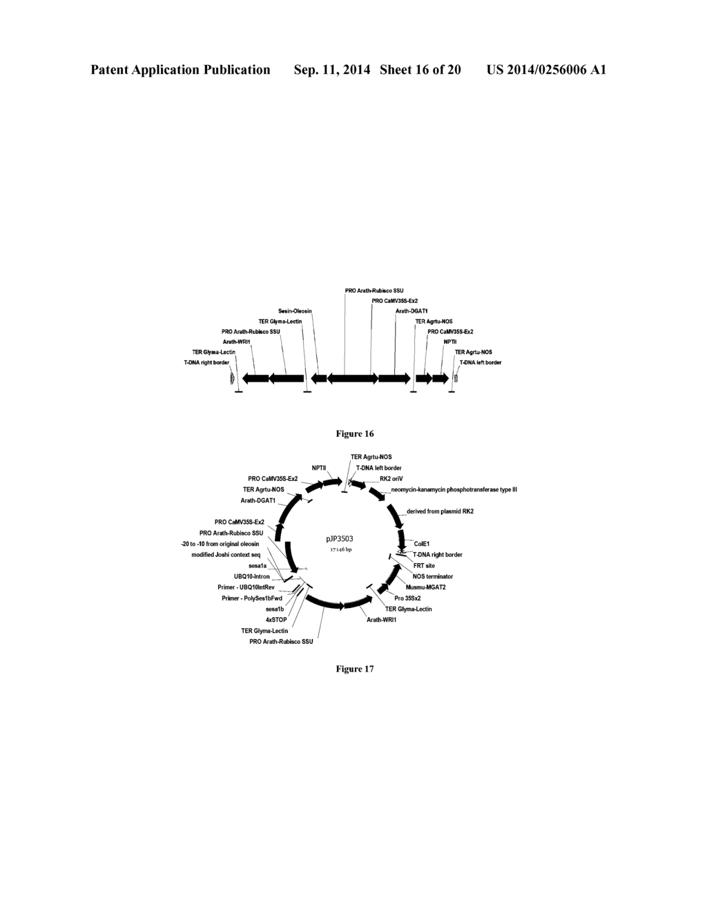 PROCESSES FOR PRODUCING HYDROCARBON PRODUCTS - diagram, schematic, and image 17