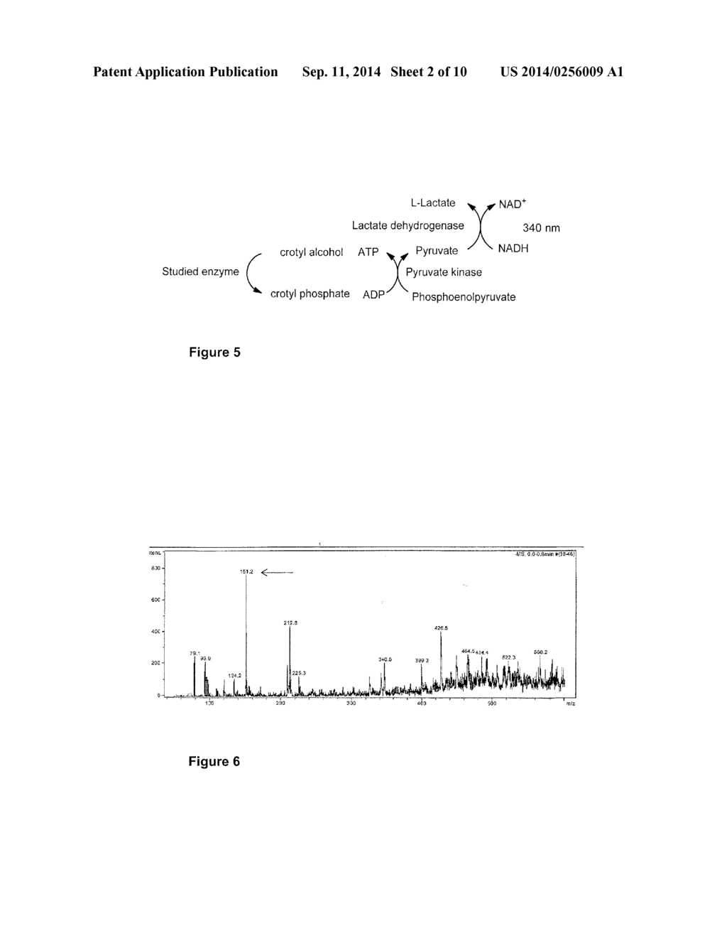 METHOD FOR THE ENZYMATIC PRODUCTION OF BUTADIENE - diagram, schematic, and image 03