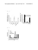 SMALL CHEMICAL COMPOUND WHICH PROMOTES INDUCTION OF DIFFERENTIATION OF     STEM CELLS INTO INSULIN-PRODUCING CELLS AND METHOD FOR INDUCING     DIFFERENTIATION OF STEM CELLS INTO INSULIN-PRODUCING CELLS USING SAID     SMALL CHEMICAL COMPOUND diagram and image