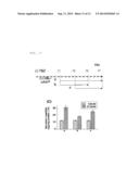 SMALL CHEMICAL COMPOUND WHICH PROMOTES INDUCTION OF DIFFERENTIATION OF     STEM CELLS INTO INSULIN-PRODUCING CELLS AND METHOD FOR INDUCING     DIFFERENTIATION OF STEM CELLS INTO INSULIN-PRODUCING CELLS USING SAID     SMALL CHEMICAL COMPOUND diagram and image