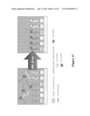 MULTICOLOR MICROWAVE-ACCELERATED METAL-ENHANCED FLUORESCENCE (M-MAMEF) diagram and image