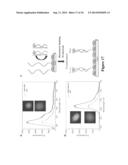 MULTICOLOR MICROWAVE-ACCELERATED METAL-ENHANCED FLUORESCENCE (M-MAMEF) diagram and image