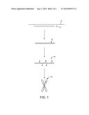 SYNTHESIS OF LONG FISH PROBES diagram and image