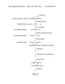 SYNTHESIS OF LONG FISH PROBES diagram and image