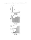 SEQUENCE-SPECIFIC DETECTION OF NUCLEOTIDE SEQUENCES diagram and image