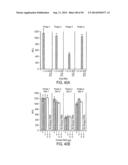 SEQUENCE-SPECIFIC DETECTION OF NUCLEOTIDE SEQUENCES diagram and image