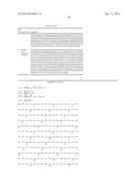 PEPTIDES AND COMPOSITIONS FOR TREATMENT OF JOINT DAMAGE diagram and image